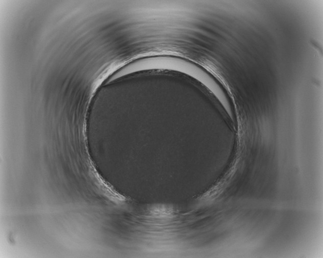 X0000099560797200805301540