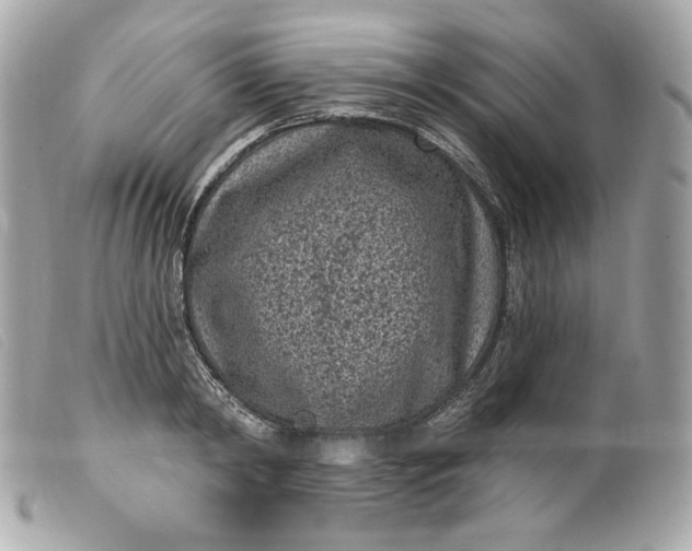 X0000099560798200805301540