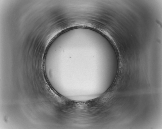 X0000099560799200805301540