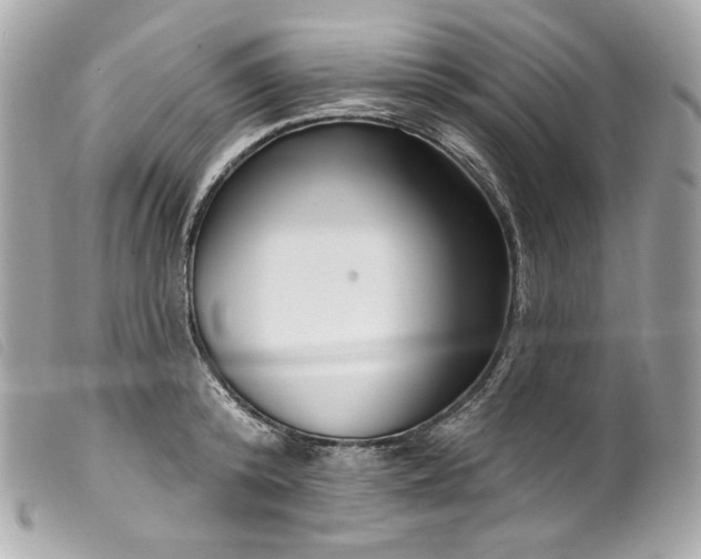 X0000099560800200805301540