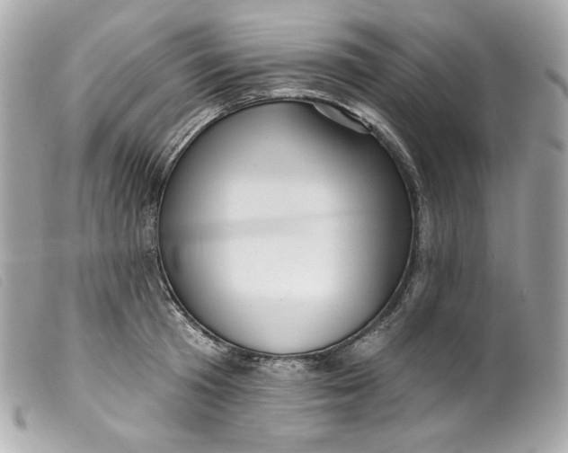 X0000099560801200805301540