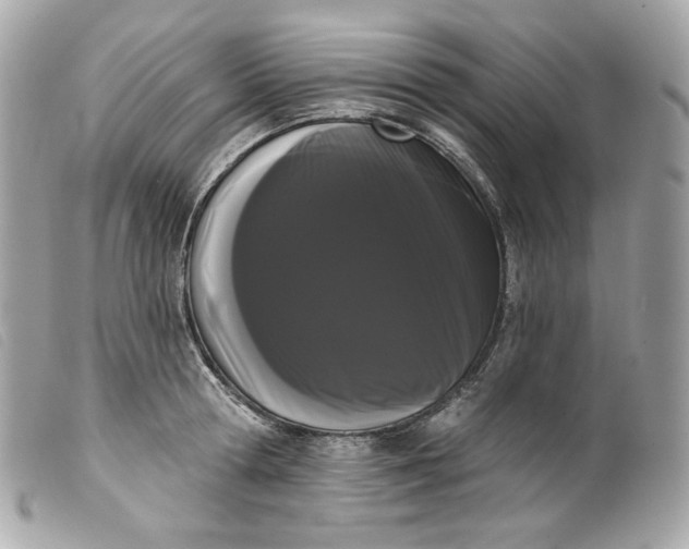 X0000099560802200805301540