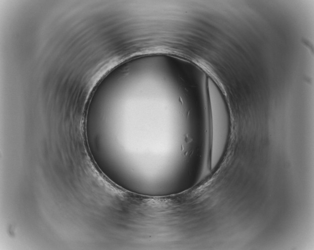 X0000099560805200805301540