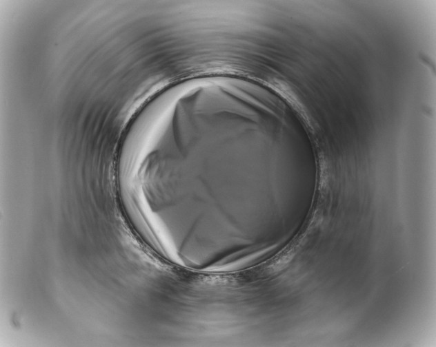 X0000099560806200805301540