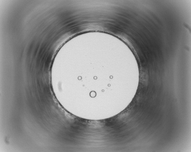 X0000099560807200805301540