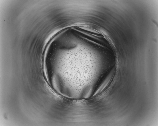 X0000099560808200805301540