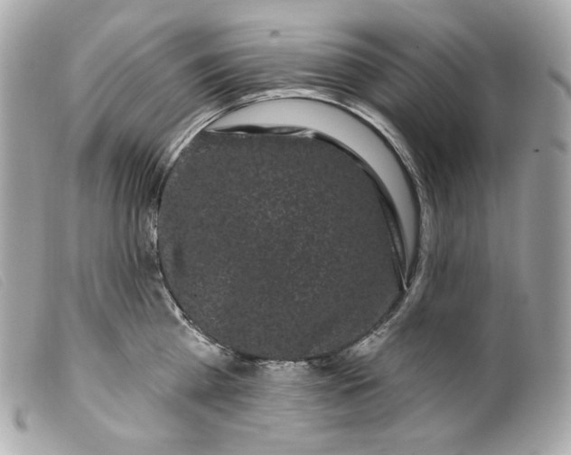 X0000099560809200805301540