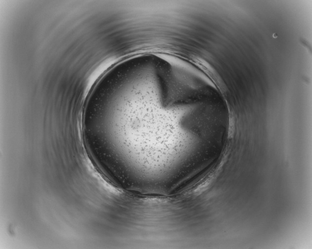 X0000099560812200805301540