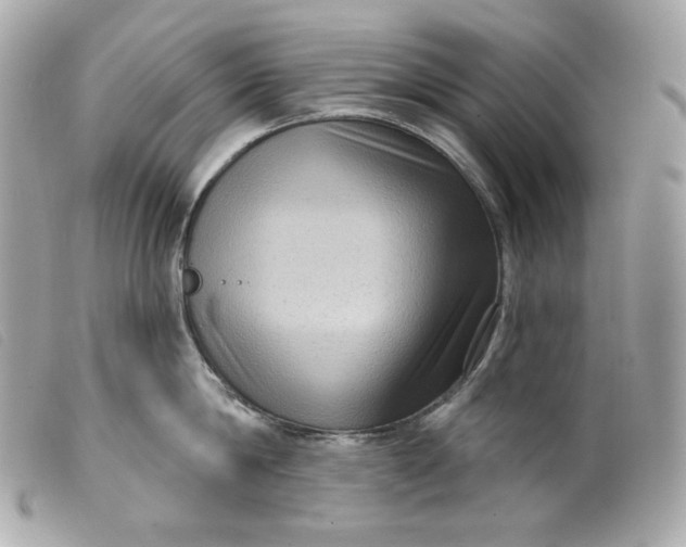 X0000099560814200805301540