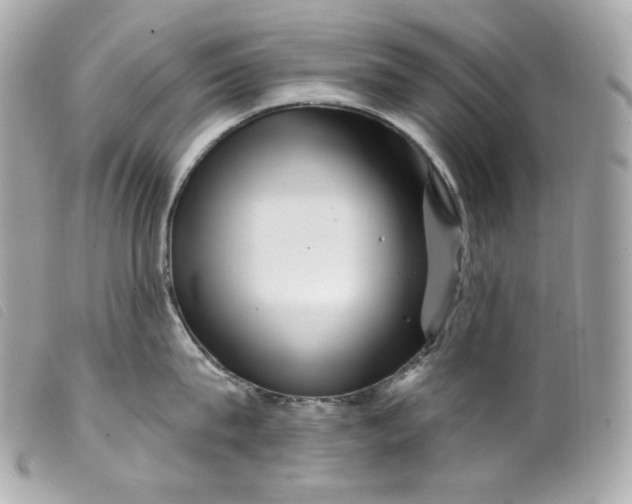 X0000099560815200805301540