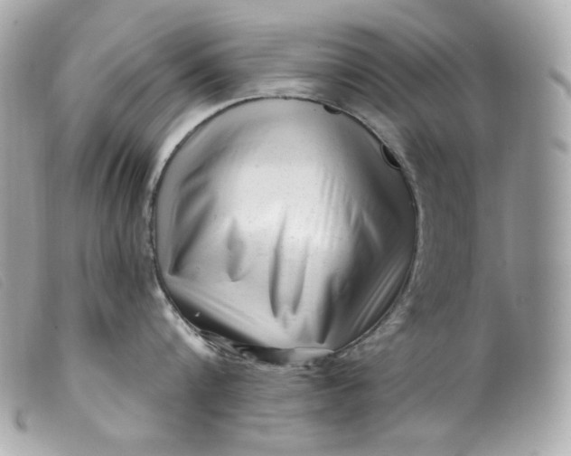 X0000099560816200805301540