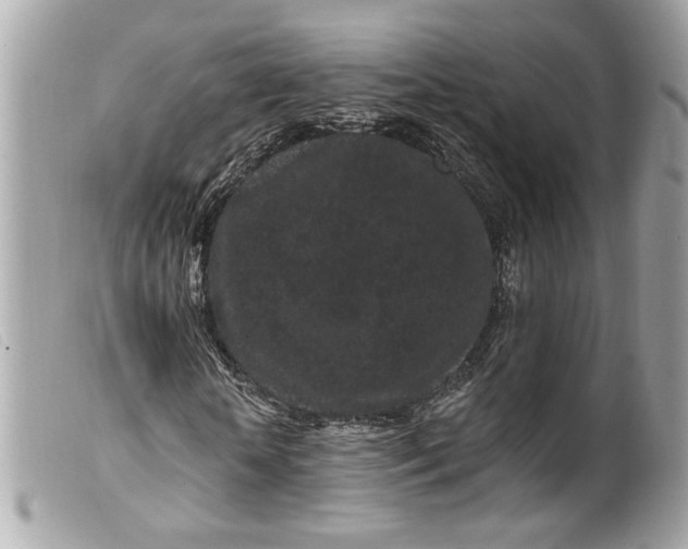 X0000099560818200805301539