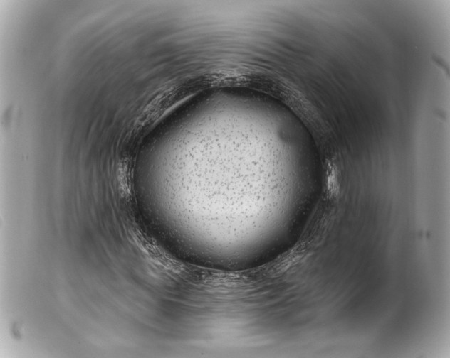 X0000099560819200805301539