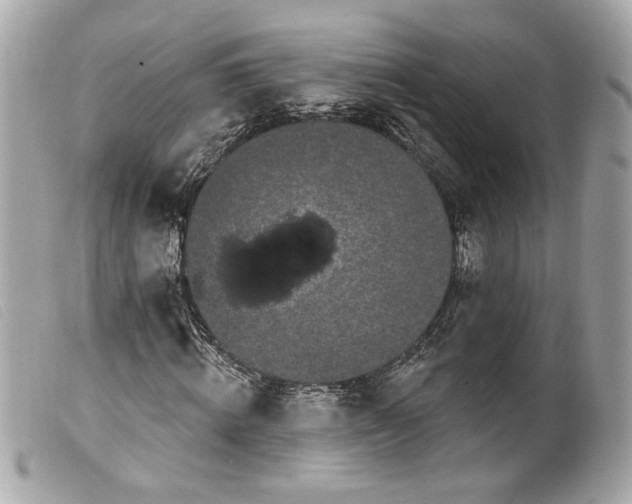 X0000099560820200805301539