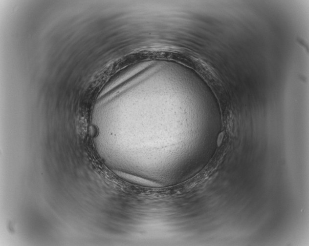 X0000099560821200805301539