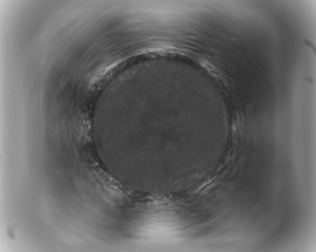 X0000099560822200805301539