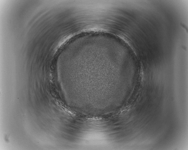 X0000099560823200805301539