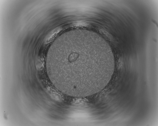 X0000099560824200805301539