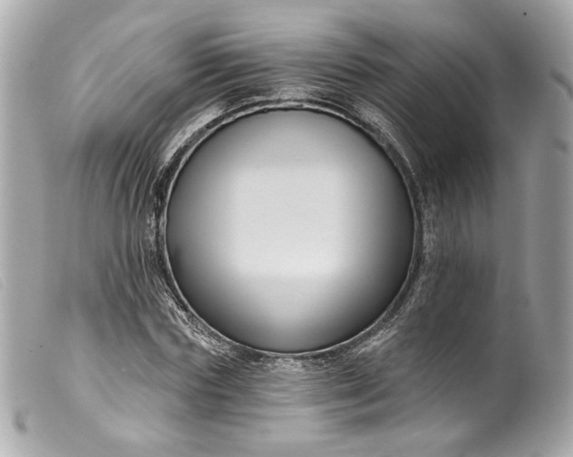 X0000099560827200805301539