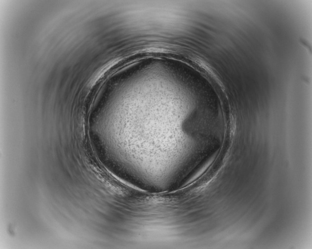 X0000099560829200805301539