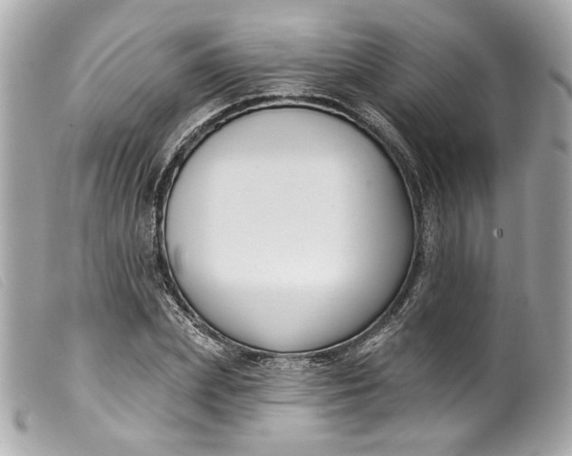 X0000099560831200805301539