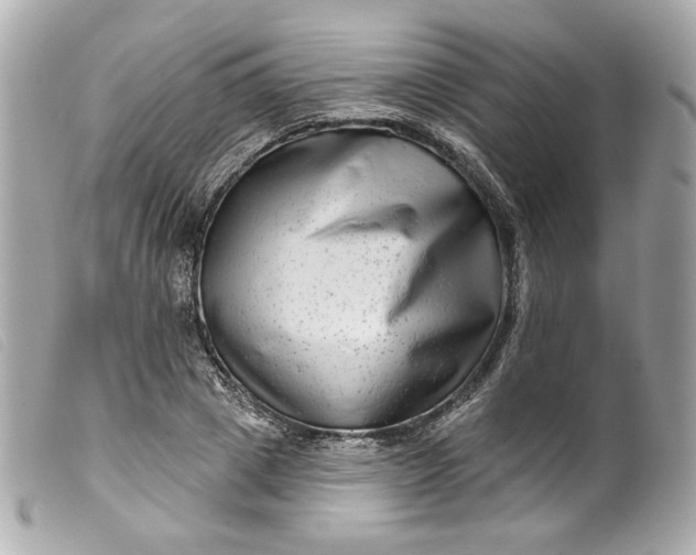 X0000099560833200805301539