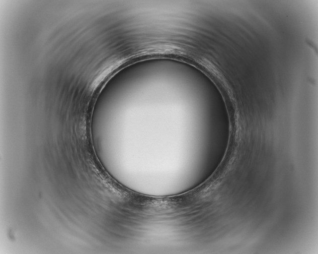 X0000099560834200805301540