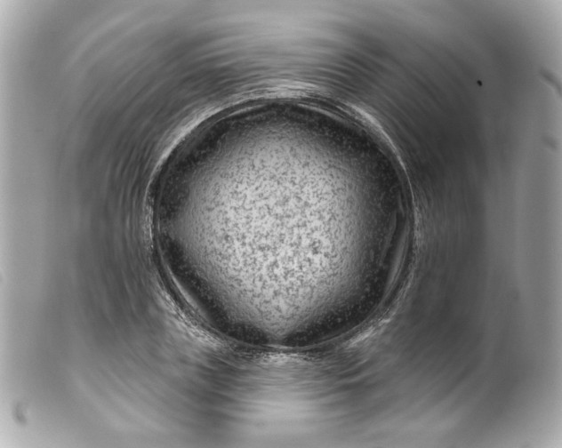 X0000099560835200805301540