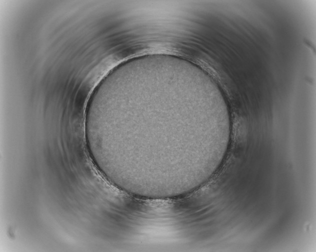 X0000099560836200805301540