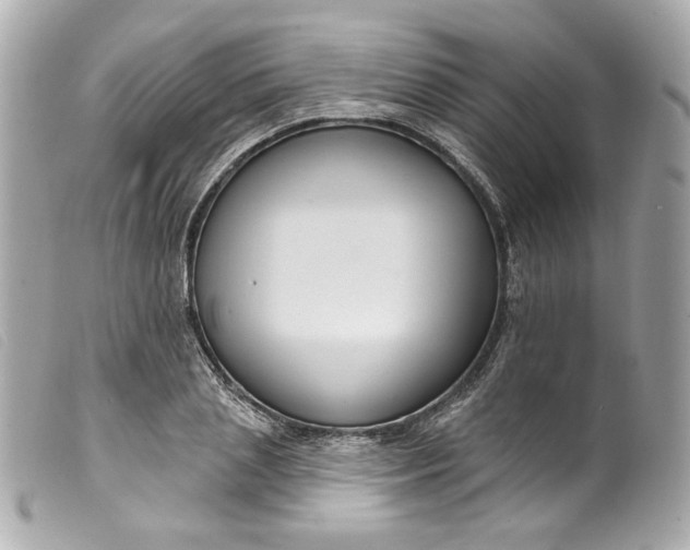 X0000099560837200805301540