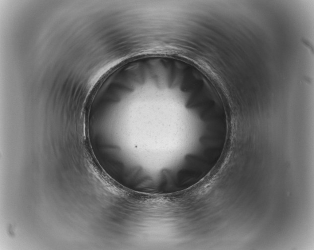 X0000099560838200805301540