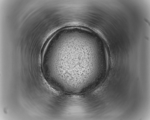 X0000099560839200805301540