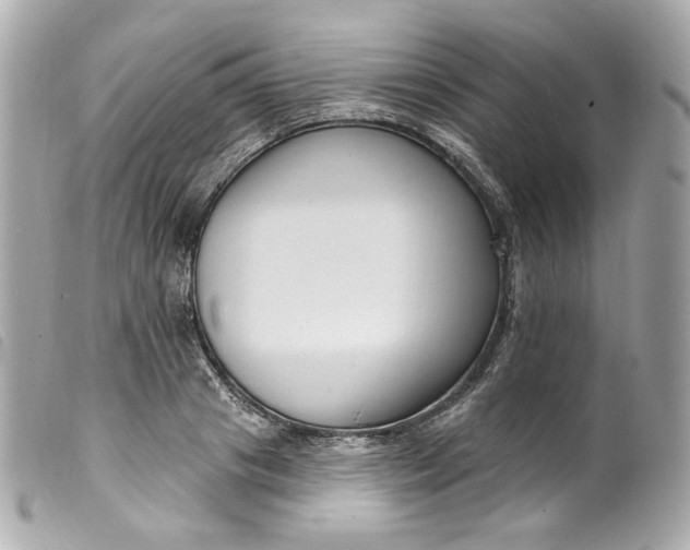 X0000099560841200805301540