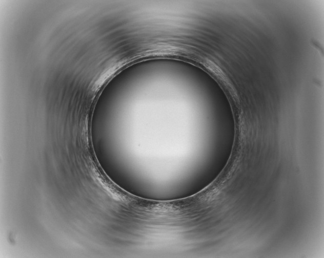 X0000099560842200805301540