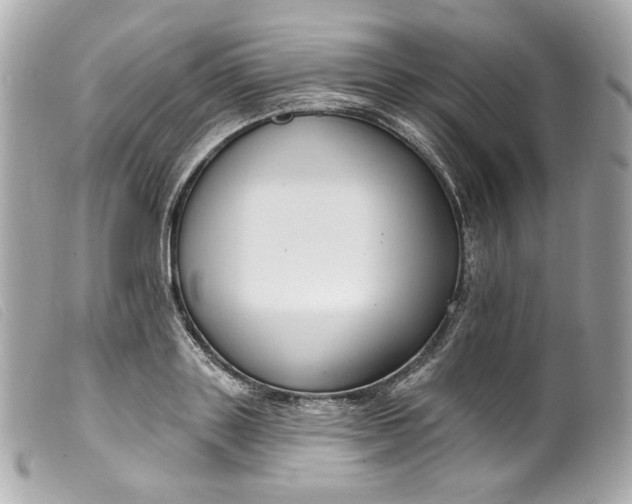 X0000099560843200805301540