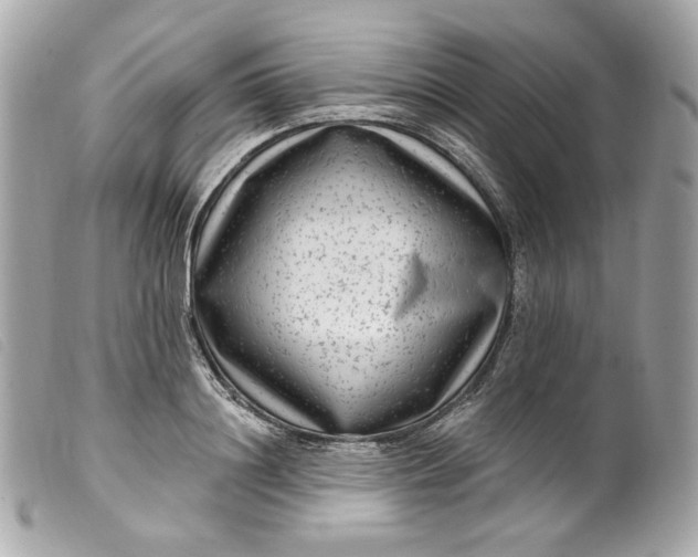 X0000099560844200805301540