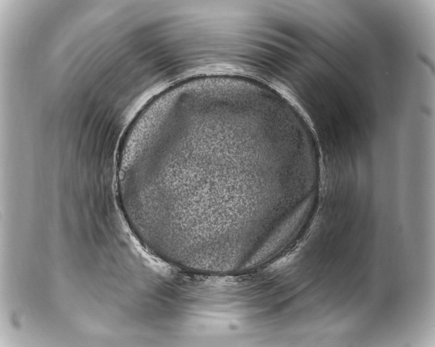 X0000099560845200805301540