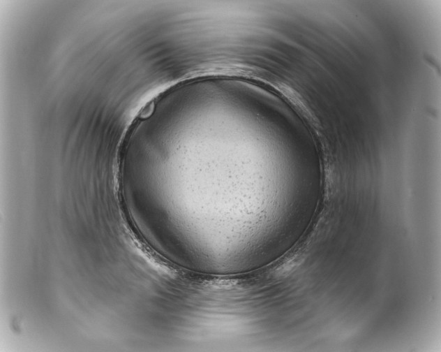 X0000099560846200805301540