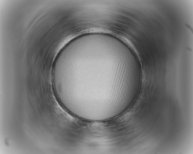 X0000099560847200805301540