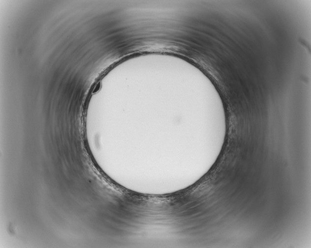 X0000099560848200805301540