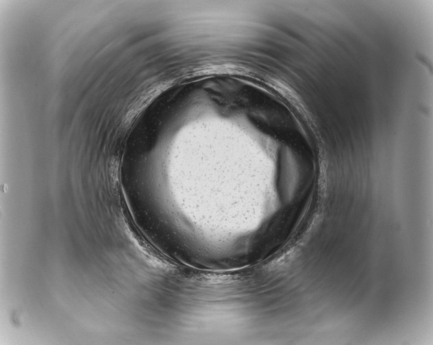 X0000099560849200805301540