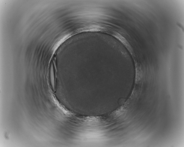 X0000099560850200805301540