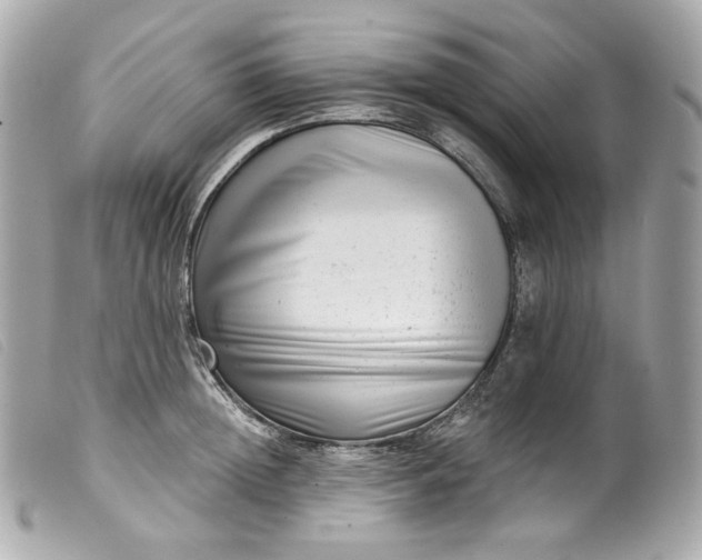 X0000099560852200805301540