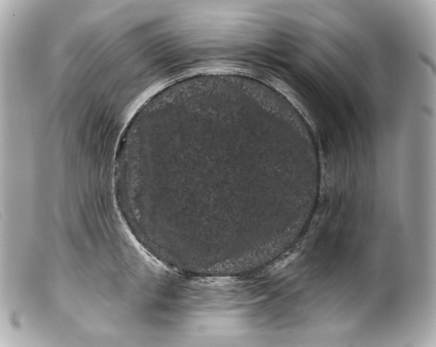 X0000099560853200805301540