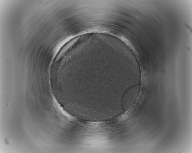 X0000099560854200805301540