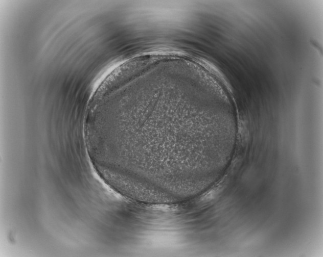 X0000099560855200805301540