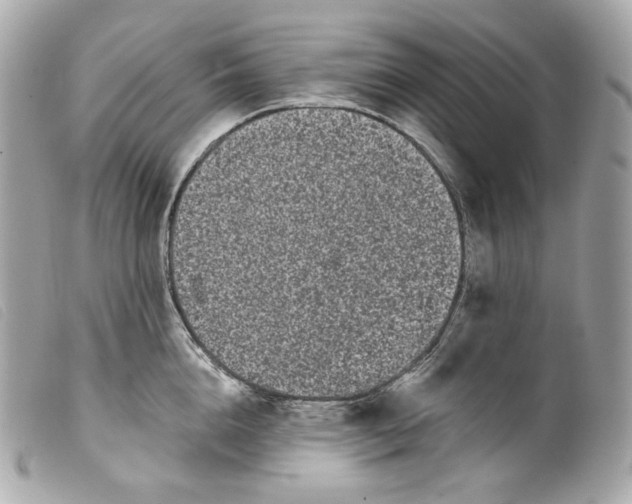 X0000099560856200805301540