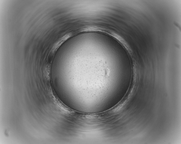 X0000099560857200805301540