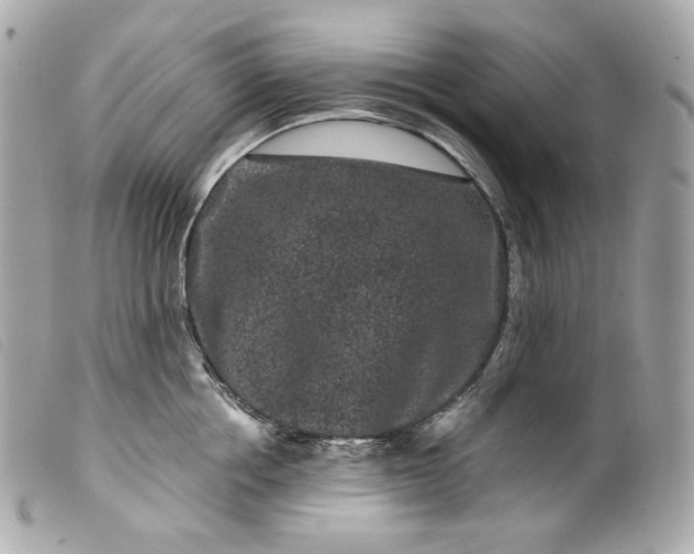 X0000099560858200805301540