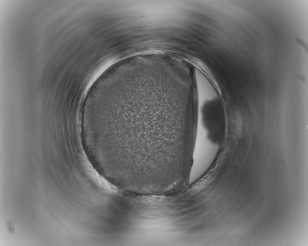 X0000099560859200805301540